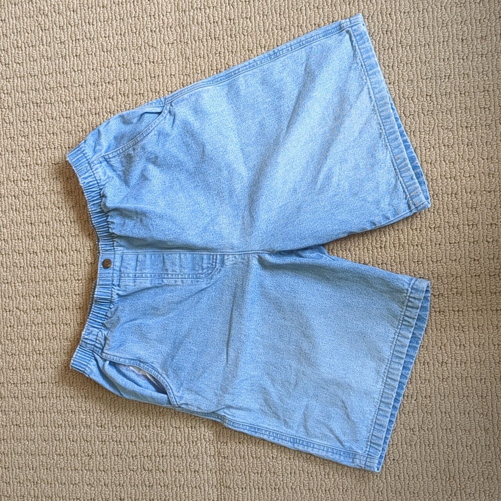 Allison Daley s10 high rise denim shorts